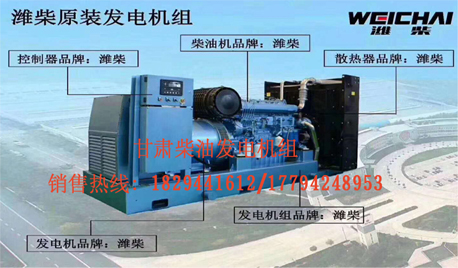 甘肅玉柴柴油發電(diàn)機組