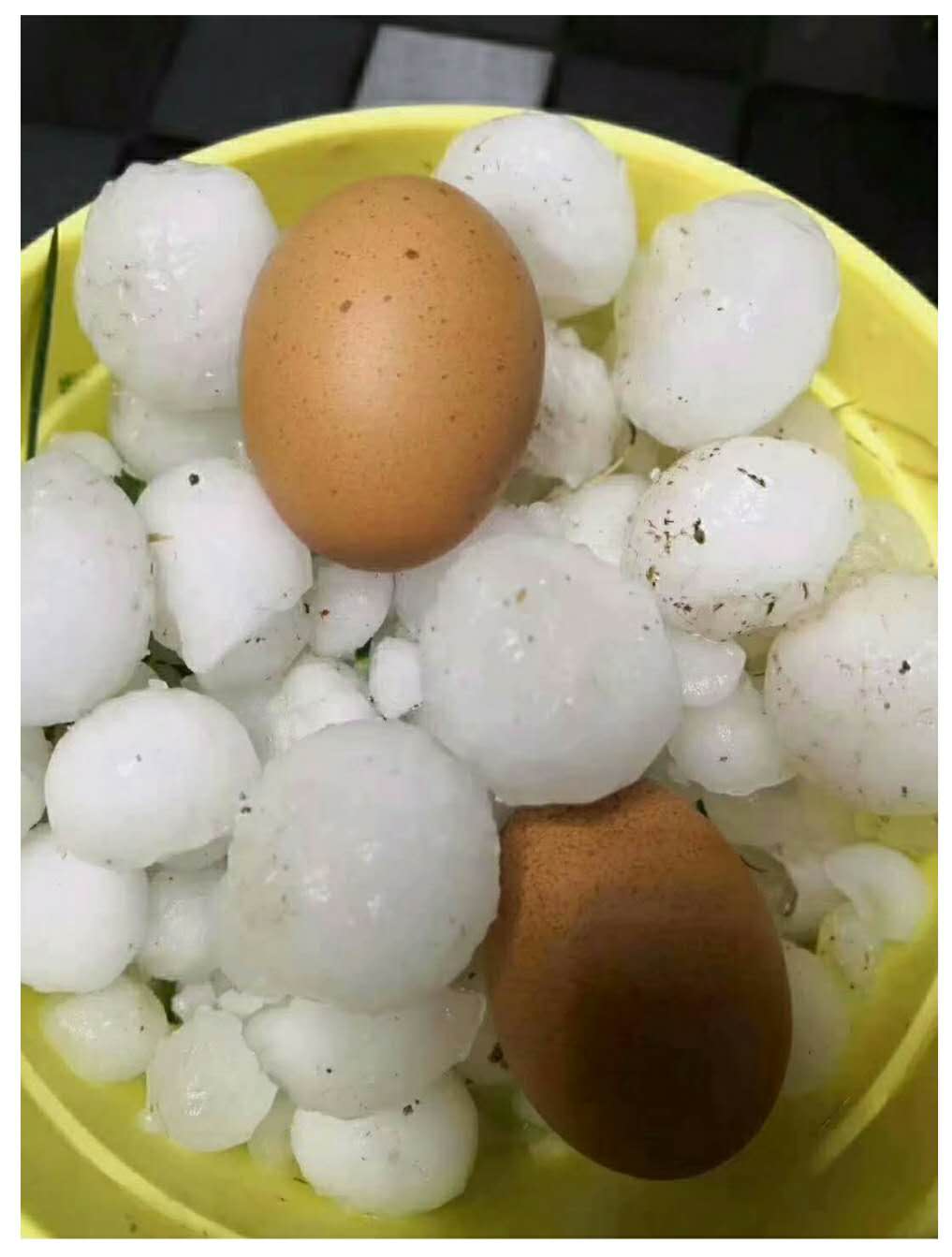 甘肅發生冰(bīng)雹災害