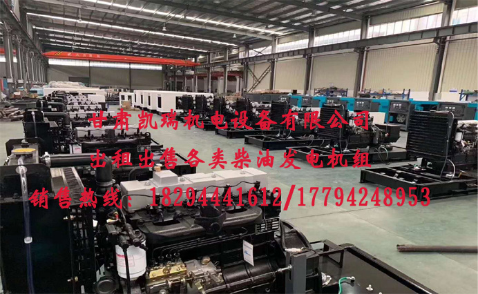 甘肅(sù)玉(yù)柴柴油發電機組廠家(jiā)