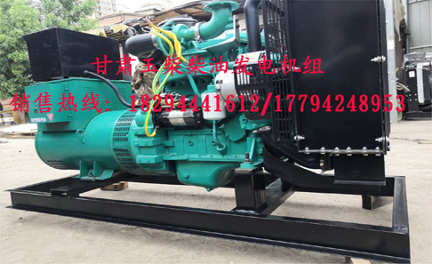 蘭州柴油(yóu)發電(diàn)機組廠家