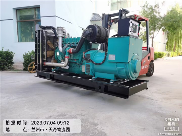 天奇(qí)健康産業(yè)園濰柴(chái)300kw發電機(jī)組安裝調試完(wán)成！